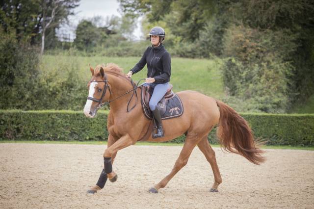 Casque visière large brillant - Penelope Collection