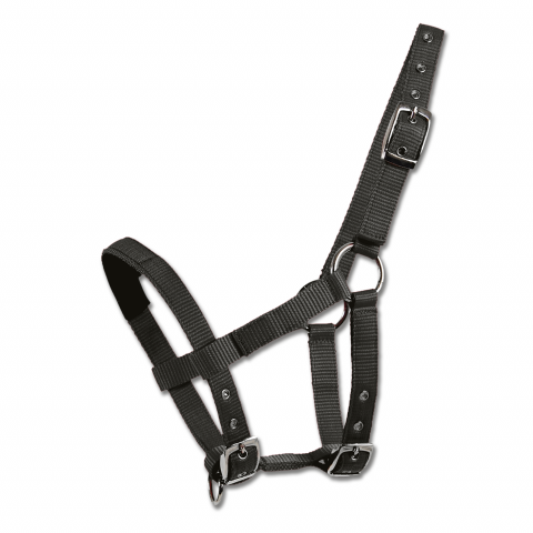Licol mini shetty matelassé - Waldhausen - nylon