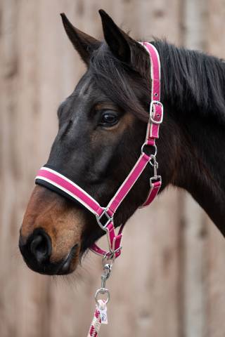 Licol+Longe Kopenhagen Hkm