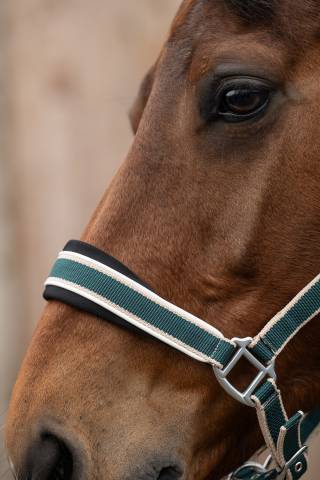 Licol+Longe Kopenhagen Hkm