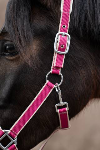 Licol+Longe Kopenhagen Hkm