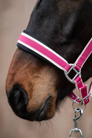 Licol+Longe Kopenhagen Hkm