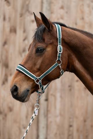 Licol+Longe Kopenhagen Hkm