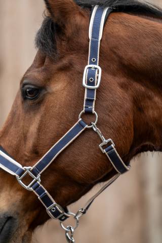 Licol+Longe Kopenhagen Hkm