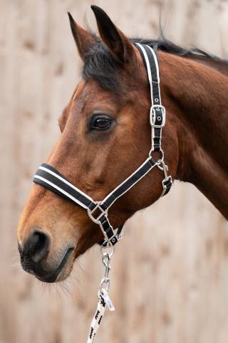 Licol+Longe Kopenhagen Hkm