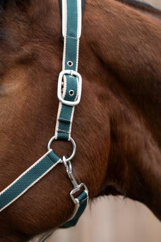 Licol+Longe Kopenhagen Hkm