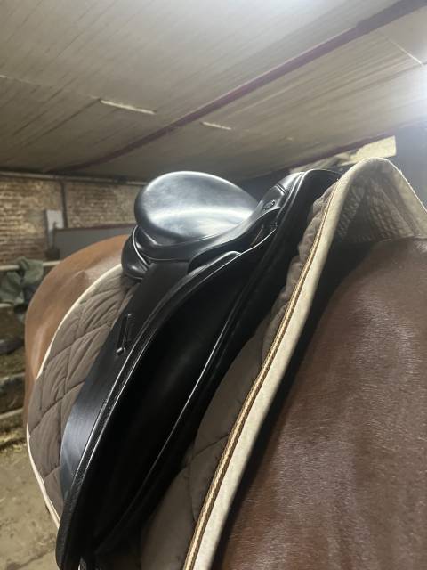 Selle euroriding diamant 