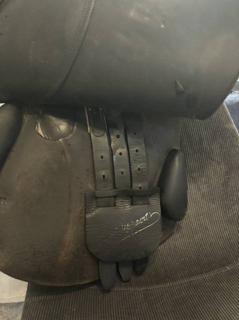 selle forestier Mixte noire 17,5P Ludo philipaert