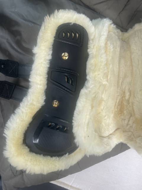 Guêtres neuves poney Back on Track