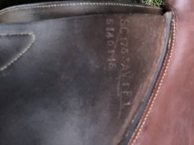 Selle d’obstacles GBS semi-creux de 17,5