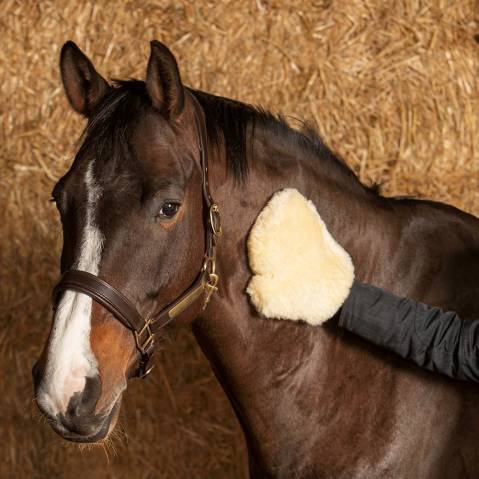 Gant De Pansage Merino Harry's Horse