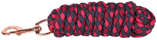 Longe Les Menuires Harry's Horse