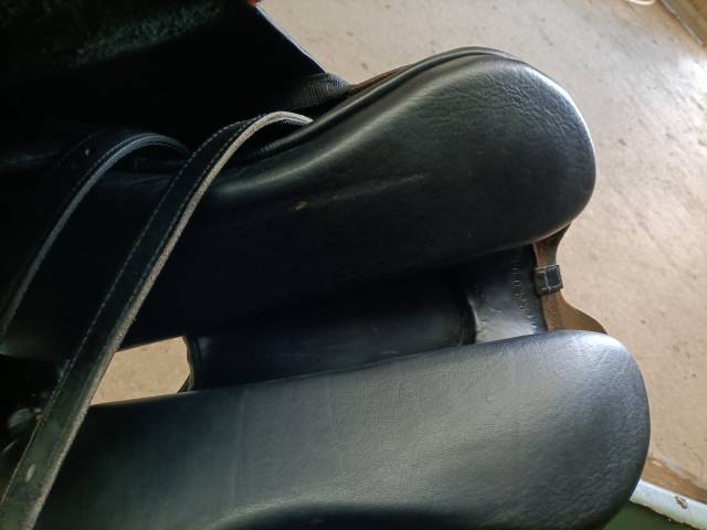 Selle zaldi bereber endurance 