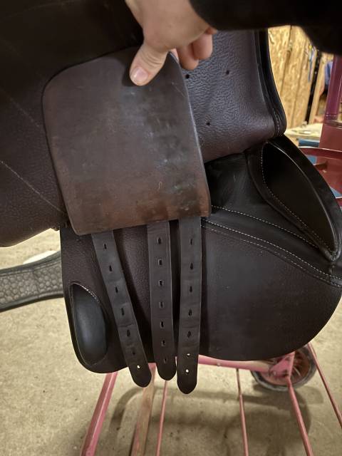 Selle Séoul Forestier 