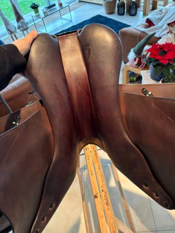 Selle Equipe Evolution liseré noir 18 P