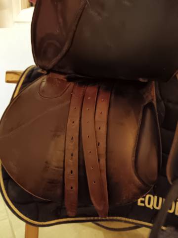 Selle forestier Segonzac 