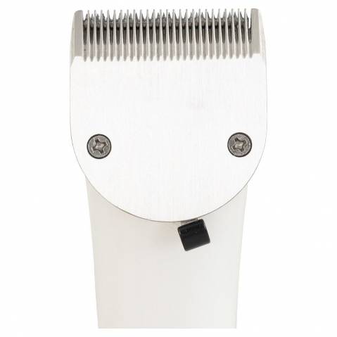 Tondeuse De Finition Concord Premiere