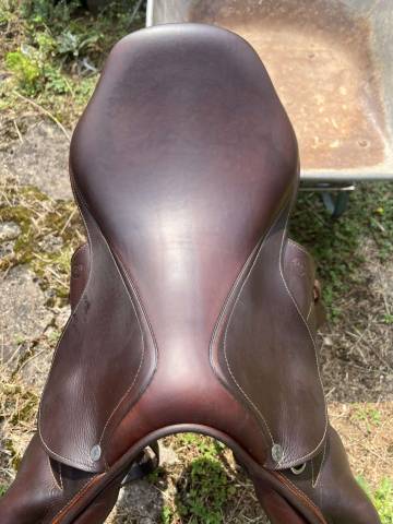 Selle Antares 17,5’´