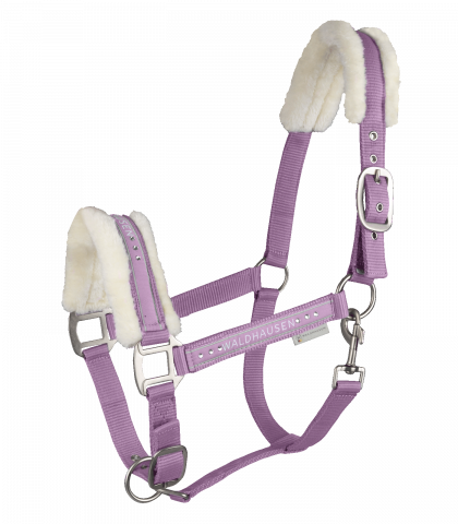 Licol Elegant Mouton Waldhausen