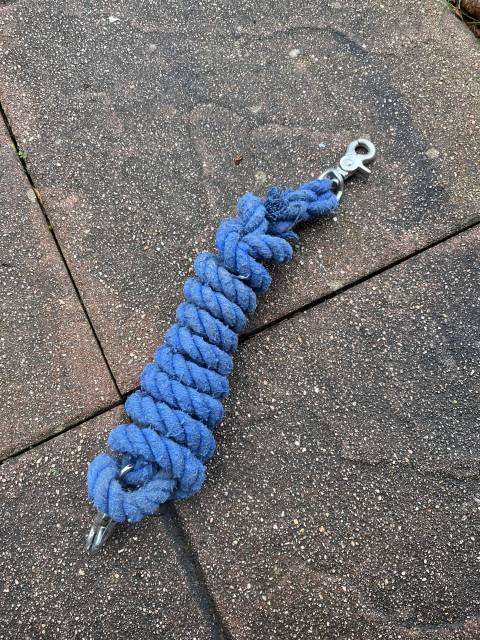 Rêne pony games bleues