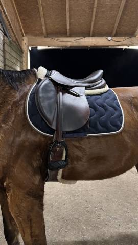 Selle mixte Antares