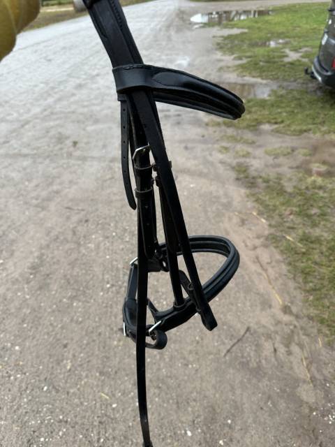 Filet FULL Éric Thomas