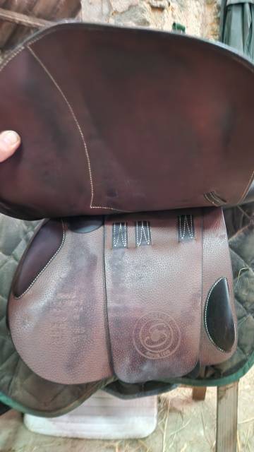 Selle Forestier Séoul de 2022