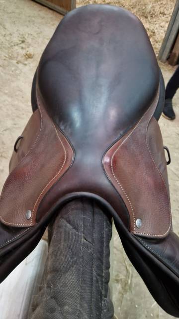 Selle Forestier Séoul de 2022
