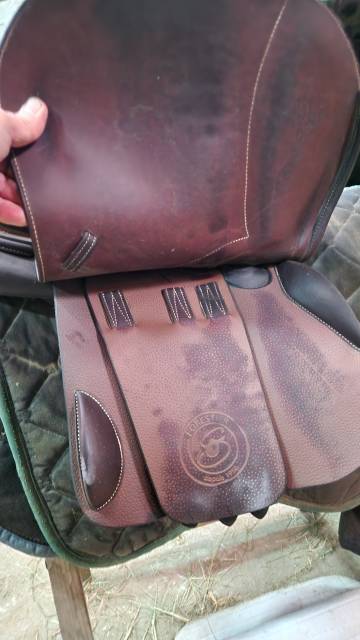 Selle Forestier Séoul de 2022