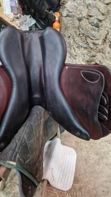 Selle Forestier Séoul de 2022