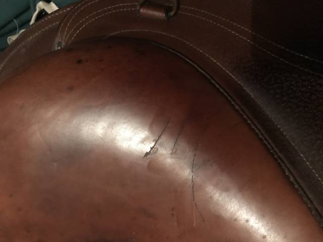 Selle randonnée Trec Forestier