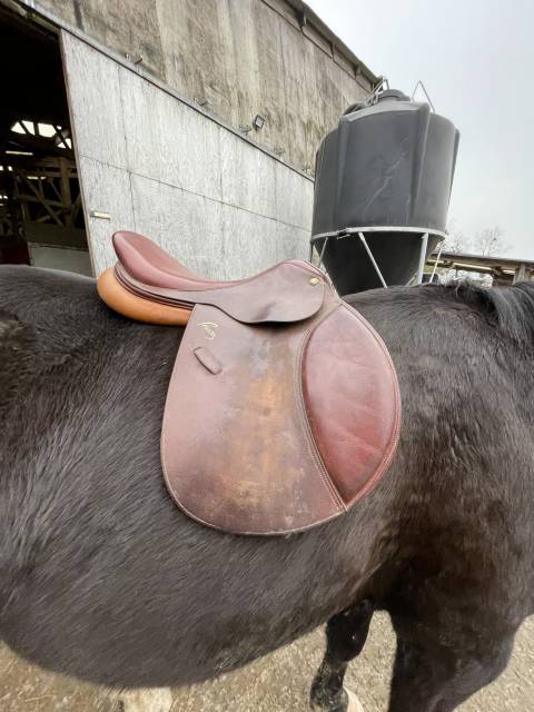 Selle Pessoa à vendre