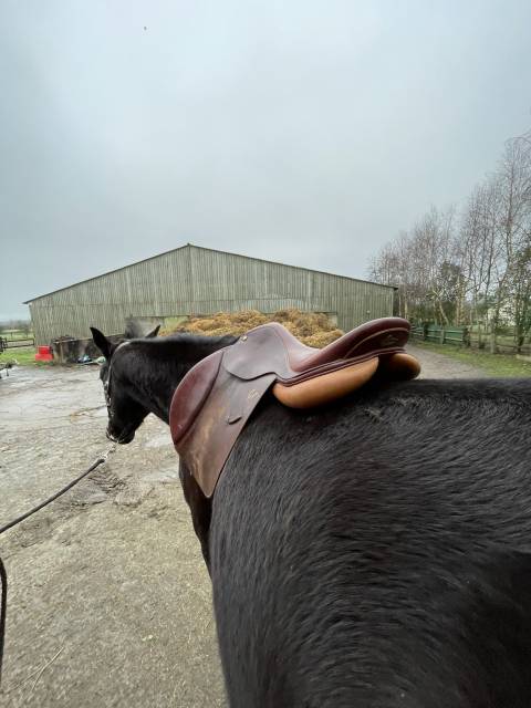 Selle Pessoa à vendre