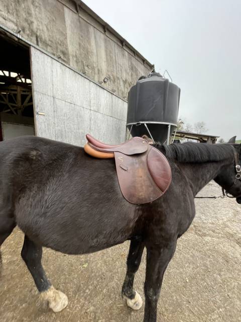 Selle Pessoa à vendre