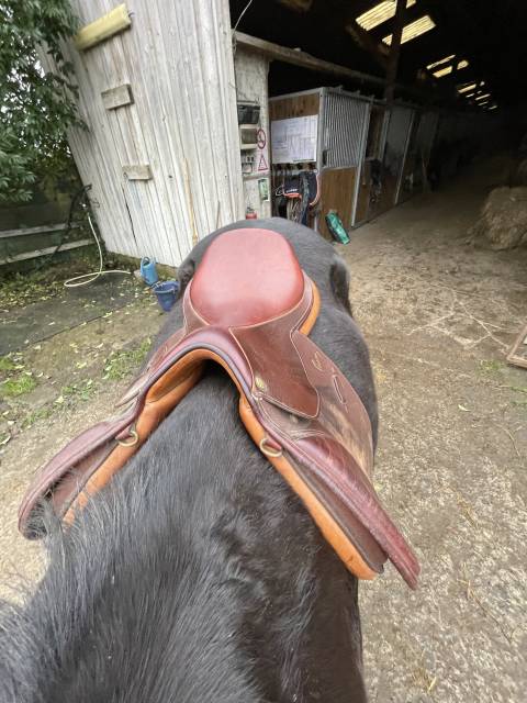 Selle Pessoa à vendre