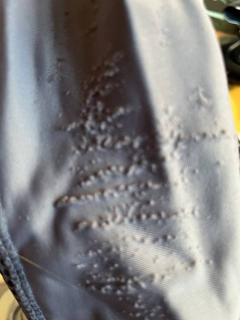 Pantalon &eacute;quitation enfant taille 14 ans