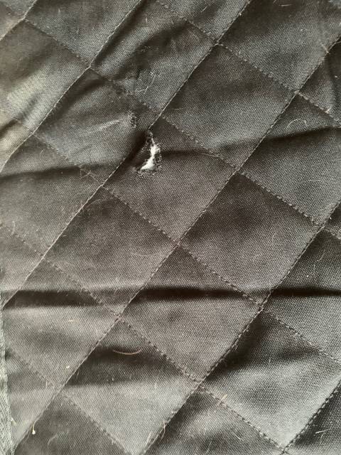 couverture de box noire Kentucky 150 gr 155 cm