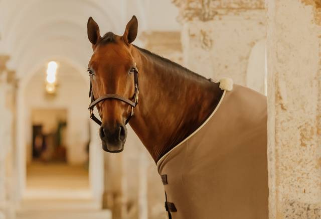 Couverture polaire de présentation Vegan Wool - Kentucky