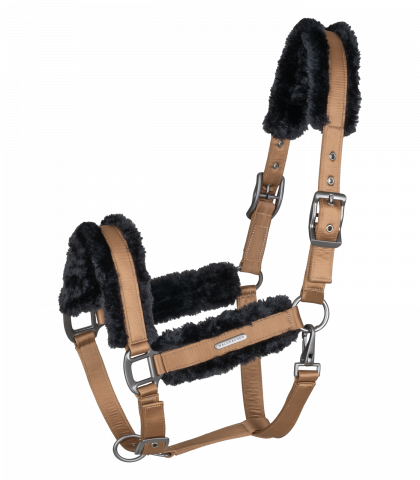 Licol mouton Paris Waldhausen