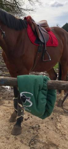 Selle forestier 17,5