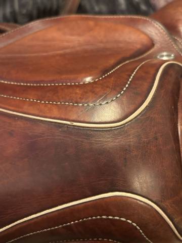 Selle Cwd mademoiselle 