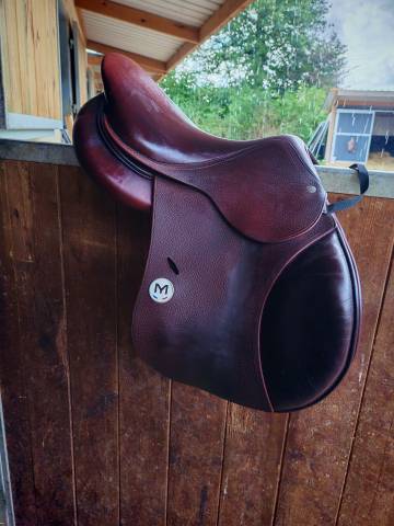 Selle Meyer 2023 16'5