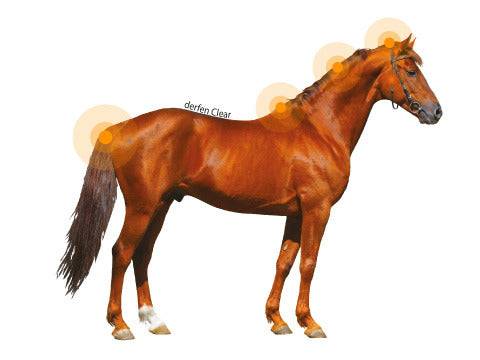 Lotion DERFEN Clear Animaderm