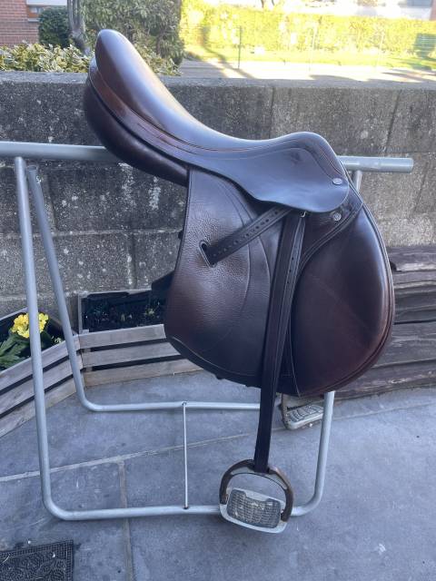 Selle équipe expression spéciale 