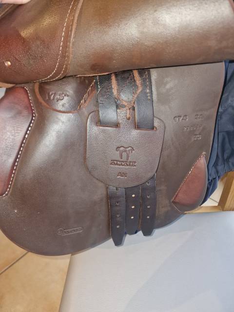 Selle Obstacle Altaïr by Antares