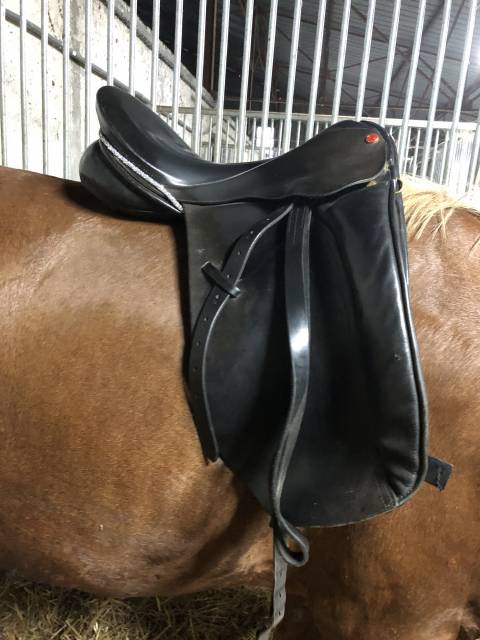 Selle de dressage Eurorising 17"