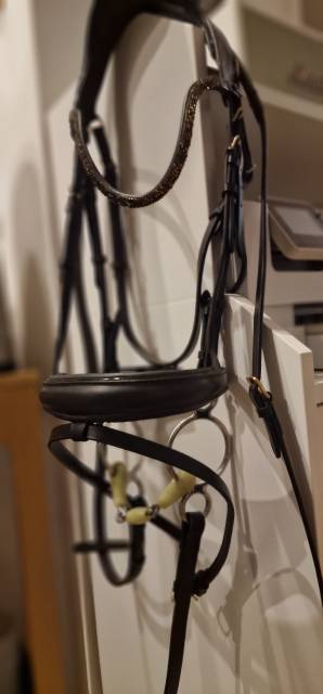 BRIDON neuf porte 1 fois 1h 