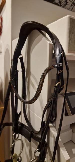 BRIDON neuf porte 1 fois 1h 