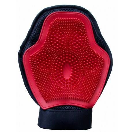 Gant De Pansage Douche Et Lustrage Rouge TdeT