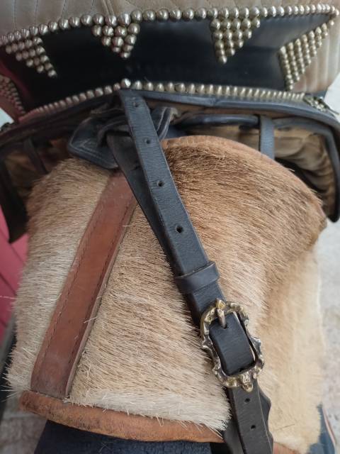 Selle Portugaise complète 